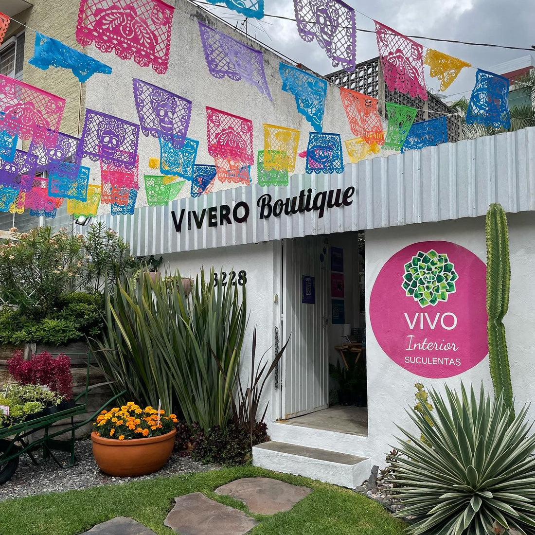 Vivero en guadalajara